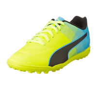 Puma  II TT Cricket Shoes For Men        