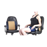 Skynor Pu Foam BS-1002 Chair Backrest, F 