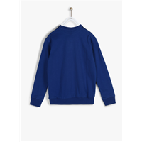 Blue Sweatshirt                          