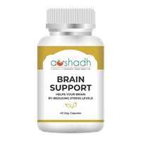 Brain Support 60 Capsules                