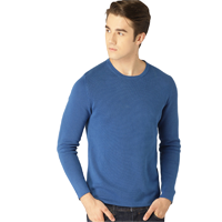 ESPRIT Men Blue Solid Pullover           