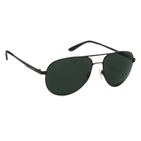 Carrera Black Full Rim Aviator Sunglasse 