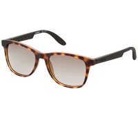 Carrera Men-Women Wayfarer Sunglasses    