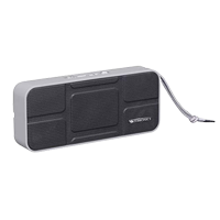 Zebronics Portable Bluetooth Speaker     