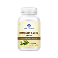 Immunity Kadha  (30 Tablets)             