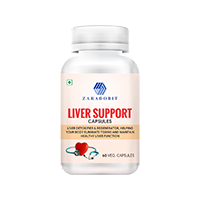 Liver Support  (60 Capsule)              