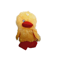 Jack Williams Duck teddy Soft Toy        