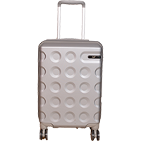 SKYBAGS Large Check-in Suitcase          