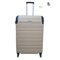 Swissgear Hardside Spinner Luggage - Gol 