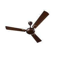 Bajaj Grace BBD Plus Ceiling Fan 1200mm, 