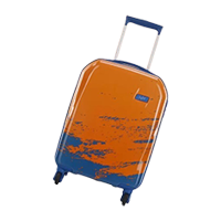 SKYBAGS  Small Cabin Suitcase            