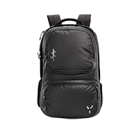 Skybags Backpack                         