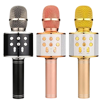 Handheld KTV WS-858 Wireless Karaoke Mic 