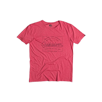 Quiksilver Men's Printed Round Neck T-Sh 