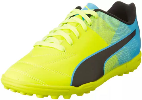 Puma  II TT Cricket Shoes For Men