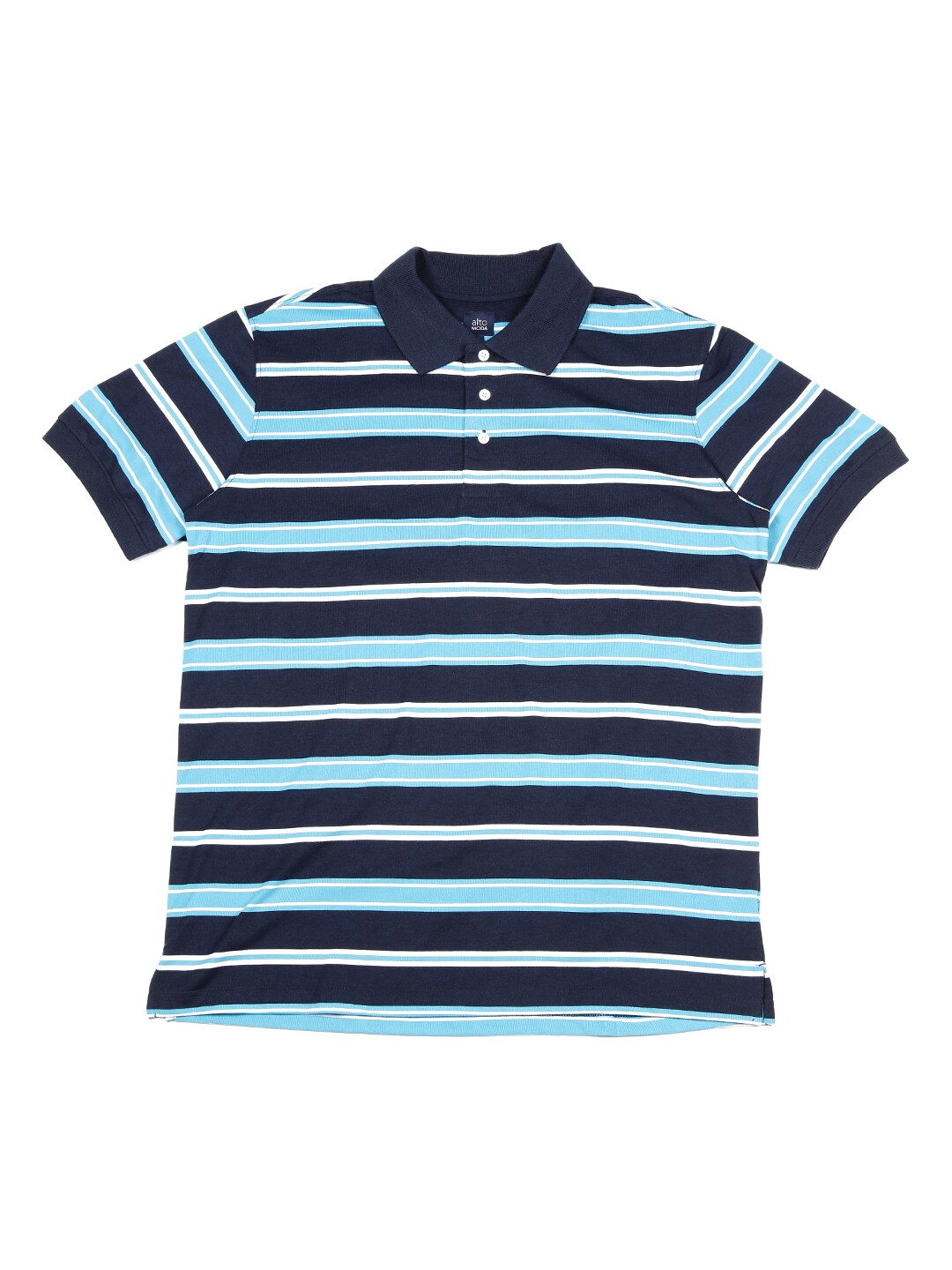 ALTOMODA by Pantaloons Plus Size Men Blue Striped Polo Collar T-shirt