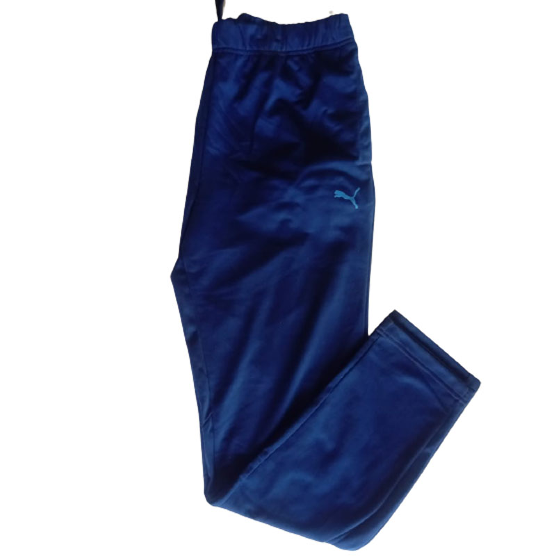 Puma Men's Blue Track Pant