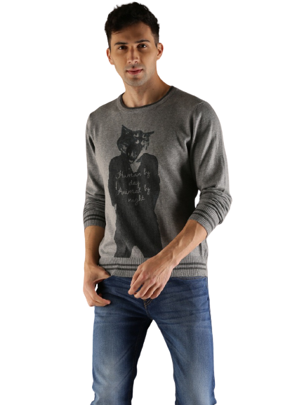 Flying Machine Men Printed sweatshirt