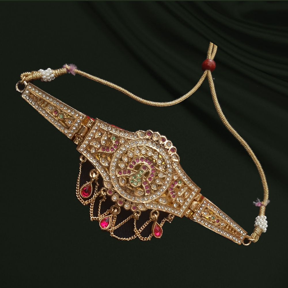 Jack Williams Rajasthani Desi gold fancy Bhujbandh