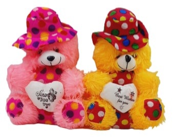 Jack Williams Soft Teddy Toy-Pack of 2