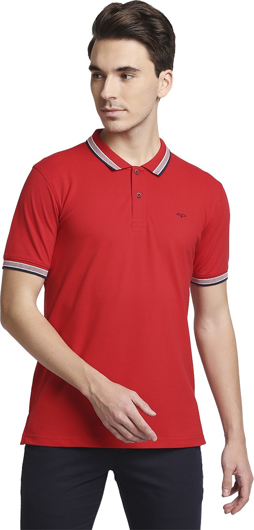 COLORPLUS Men Solid Polo Neck T-Shirt