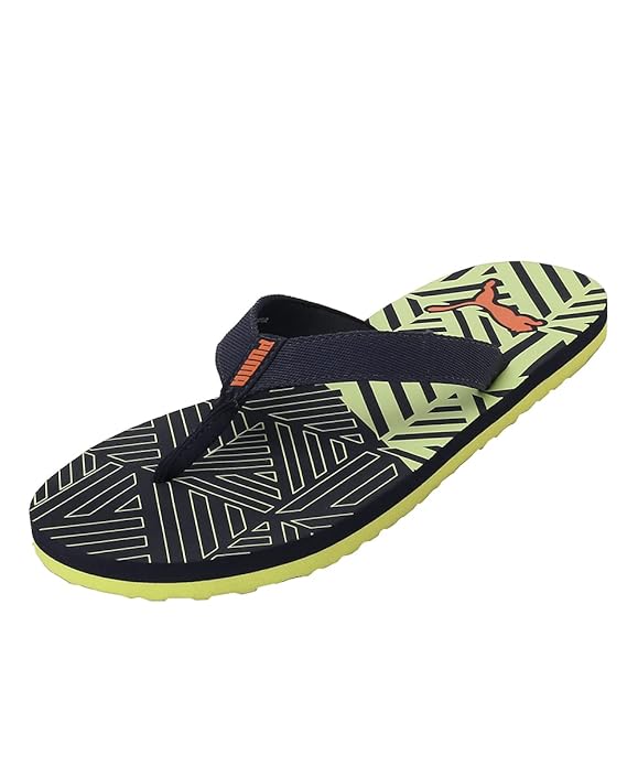 Puma Men's Coasta V2 Flip-Flop